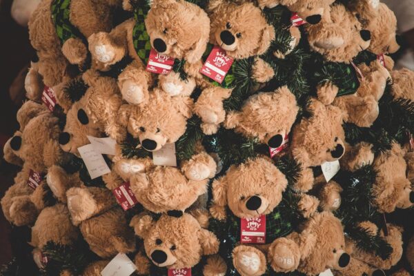 Soft Teddy Bear Plush